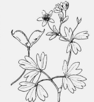 miniature