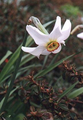 Damberlin (Doubs), mai 1995