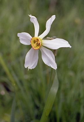 Larmont (Doubs), 18 mai 2003