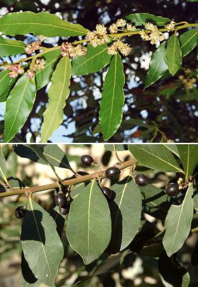 Mandagout (Gard), 18 avril 2000 / Marseille (Bouches-du-Rh�ne), 22 d�cembre 2004