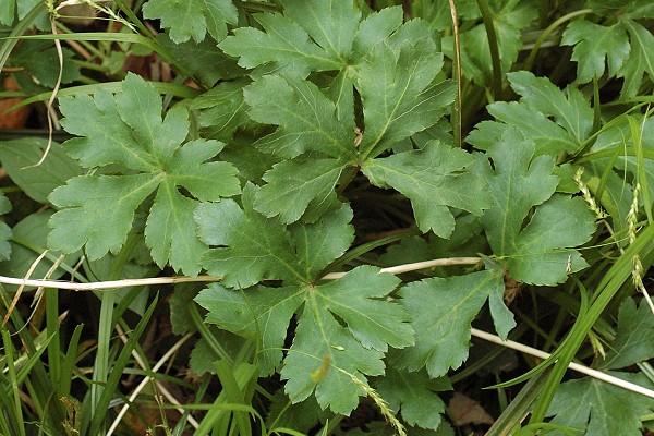 Bretigney (Doubs), 25 mai 2006