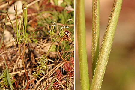 Le Logis-Neuf, Marseille (Bouches-du-Rhône), 27 février 2006