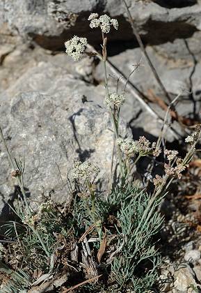 Plan-d'Aups (Var), 3 octobre 2005