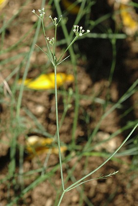 Bernay (Charente-Maritime), 16 juillet 2007