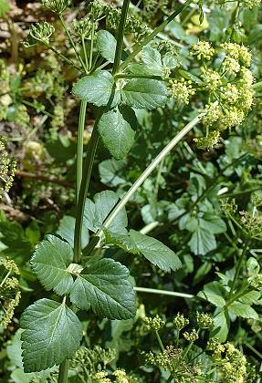 Ajaccio (Corse), 19 avril 2005