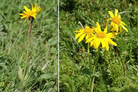 Puy-de-Dôme (Puy-de-Dôme), 23 juin 2006 / Ballon de Servance  (Haute-Saône), 29 juillet 2004