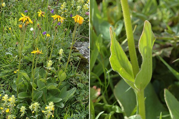 Bonneval (Savoie), 1 août 2014