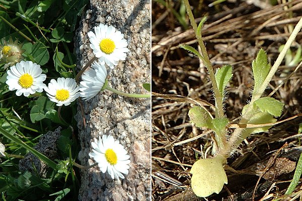 Ajaccio (Corse), 13 avril 2004