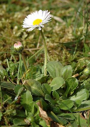 Montenois (Doubs),  20 mars 2005