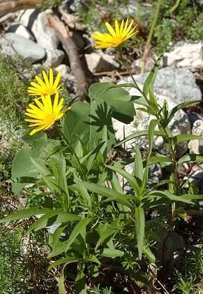 Prélenfrey (Isère), 3 septembre 2013