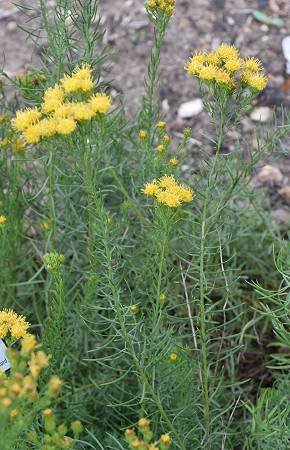 Rouen, JB (Seine-Maritime), 24 septembre 2017