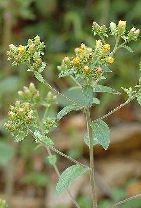 Sainte-Marie (Doubs), 4 aot 2005
