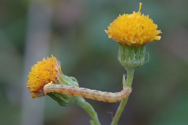 Sainte-Marie (Doubs), 26 septembre 2005