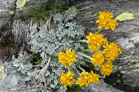 Modane, vers le lac de la Partie (Savoie), 21 juin 2012
