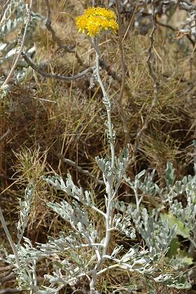Marseille (Bouches-du-Rhône), 2 août 2005