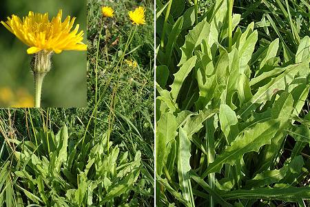Montenois (Doubs), 5 octobre 2005