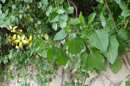 Barcelone (Espagne), 18 mars 2010