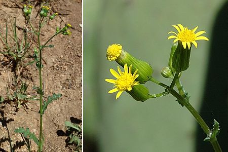 Ajaccio (Corse), 13 avril 2005
