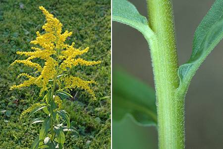 Voujeaucourt (Doubs), 22 septembre 2005