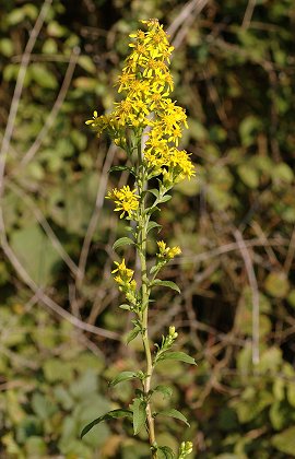 Montenois (Doubs), 23 septembre 2005