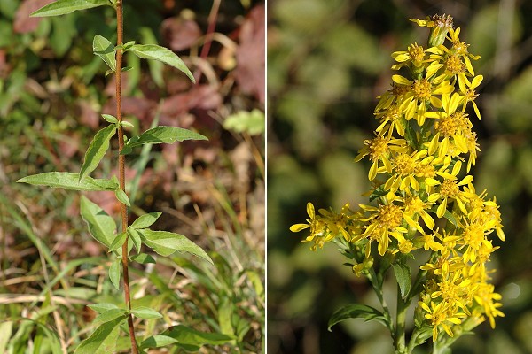 Bretigney (Doubs), 16 octobre 2007 / Montenois (Doubs), 23 septembre 2005