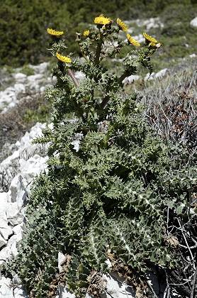 Marseille (Bouches-du-Rhne), 20 avril 2005