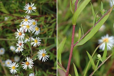 Saint-Julien-lès-Montbéliard (Doubs), 28 septembre 2005