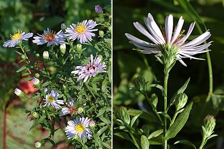 Lougres (Doubs), 25 septembre 2005