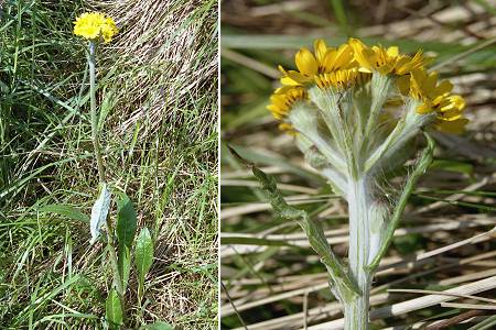 Port l'Ailly (Seine-Maritime), 23 mai 2004