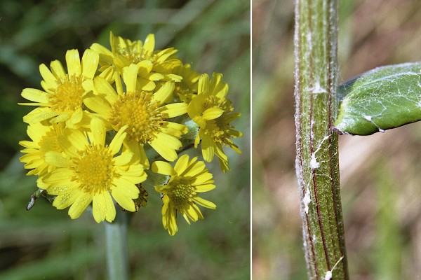 Port l'Ailly (Seine-Maritime), 23 mai 2004