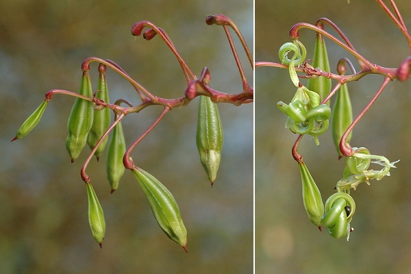 Lougres (Doubs), 7 septembre 2005