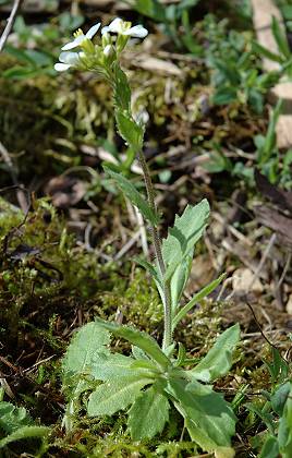 Larmont (Doubs), 15 mai 2005
