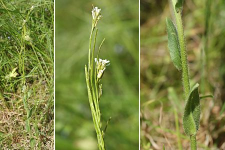 Aibre (Doubs), 24 mai 2006