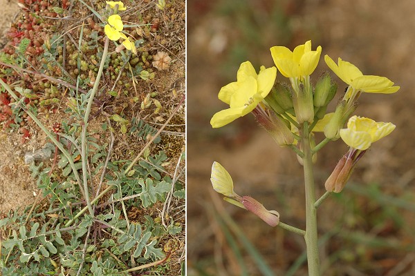 Les Sables-d'Olonne (Vendée), 12 mai 2009