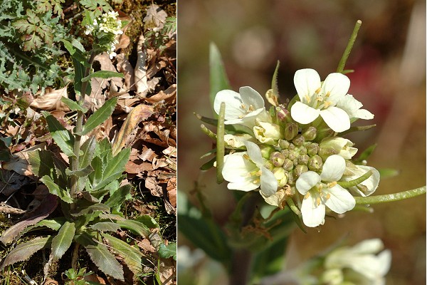 Vermondans (Doubs), 6 avril 2007