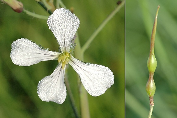 Lougres (Doubs), 25 septembre 2005