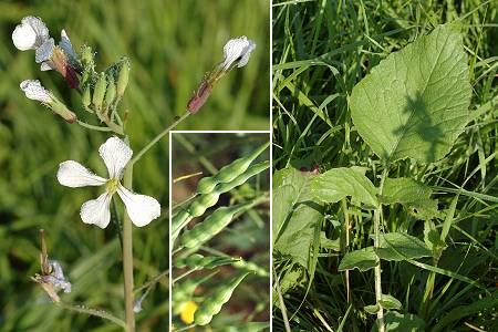Lougres (Doubs), 25 septembre 2005