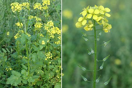 Onans (Doubs), 15 septembre 2006