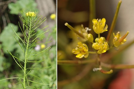 Marseille (Bouches-du-Rhne), 3 avril 2011 / 26 fvrier 2006