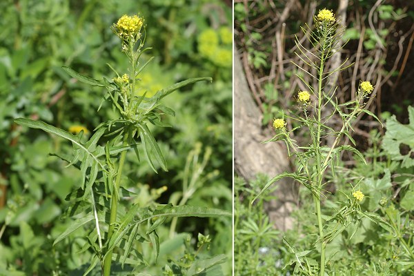 Marseille (Bouches-du-Rh�ne), 3 avril 2011