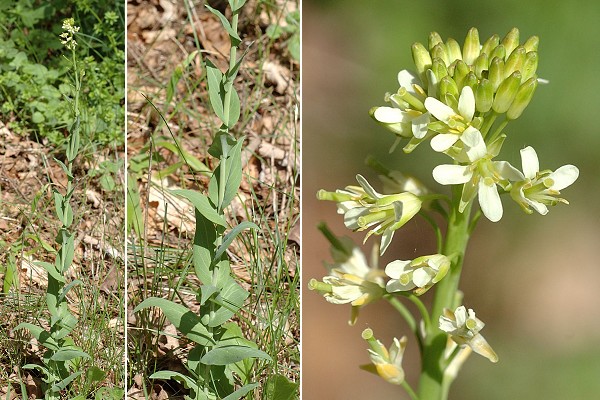 Villars-sous-Ecot (Doubs), 12 mai 2007