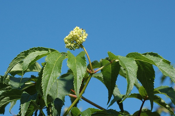 Montenois (Doubs), mai 2007