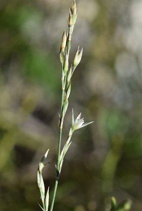 La Palud-sur-Verdon (Alpes-de-Haute-Provence), 28 août 2018