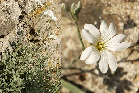 Bouclans (Doubs), 9 mai 2005