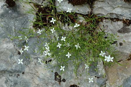 Beaume-les-Dames (Doubs), 28 mai 2009