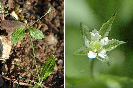 Bretigney (Doubs), 31 mai 2005