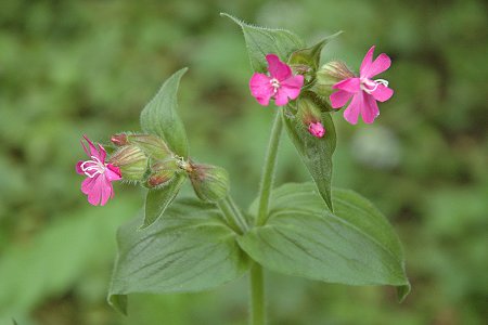 Lougres (Doubs), 8 mai 2005