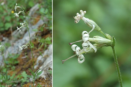 Vermondans (Doubs), 12 mai 2007