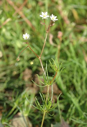 Saulnot (Haute-Saône), 13 octobre 2006