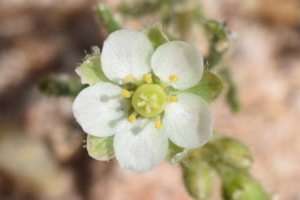 Salles-Curan (Aveyron), 3 août 2017